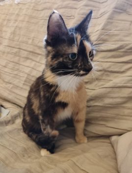 Margo